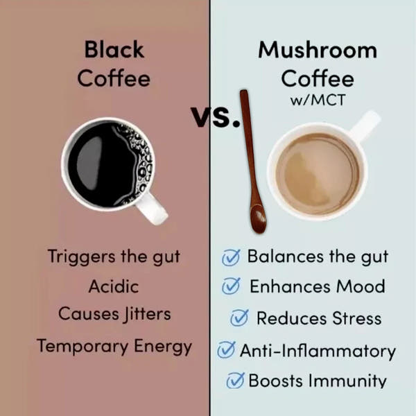 Elevate Organic Mushroom Blend™
